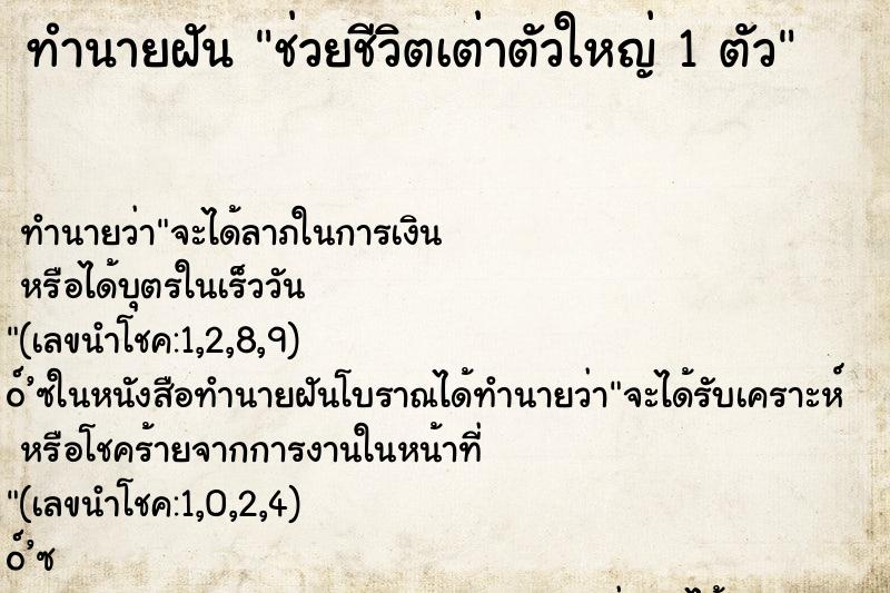 ทำนายฝันช่วยชีวิตเต่าตัวใหญ่1ตัว ทำนายฝันทำนายฝันช่วยชีวิตเต่าตัวใหญ่1ตัว